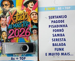 pendrive gravado original 500-600 músicas P135