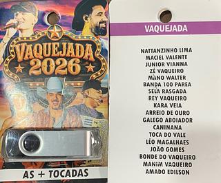 pendrive gravado original 1 500-600 músicas 19