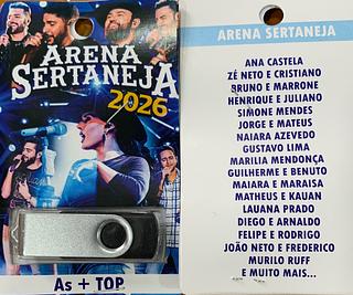 pendrive gravado original 500-600 músicas P129