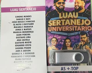 pendrive gravado original 500-600 músicas 2