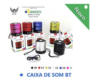CAIXA DE SOM BT WS -887