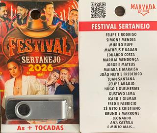 pendrive gravado original 500-600 músicas 14